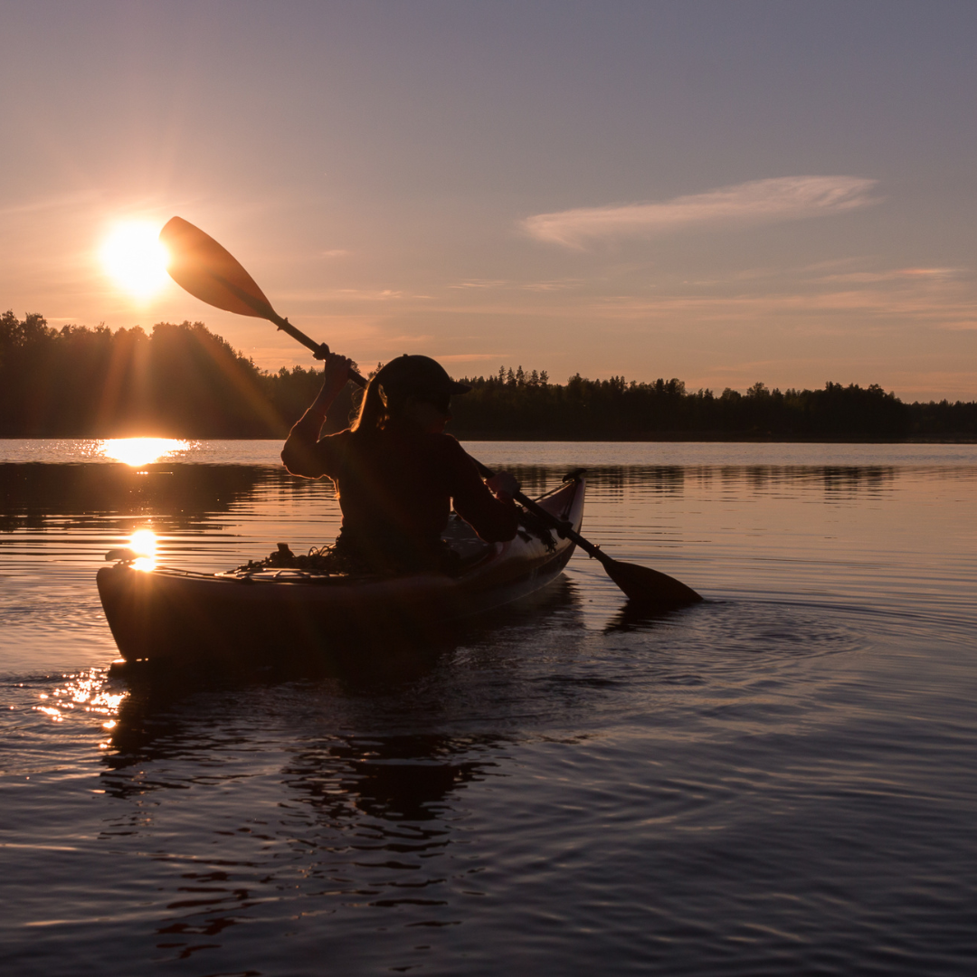 Kayak safari